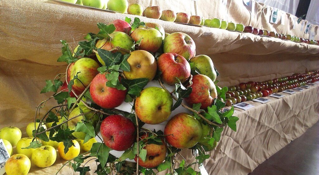 Historia del festival de la manzana en Villaviciosa (Asturias)