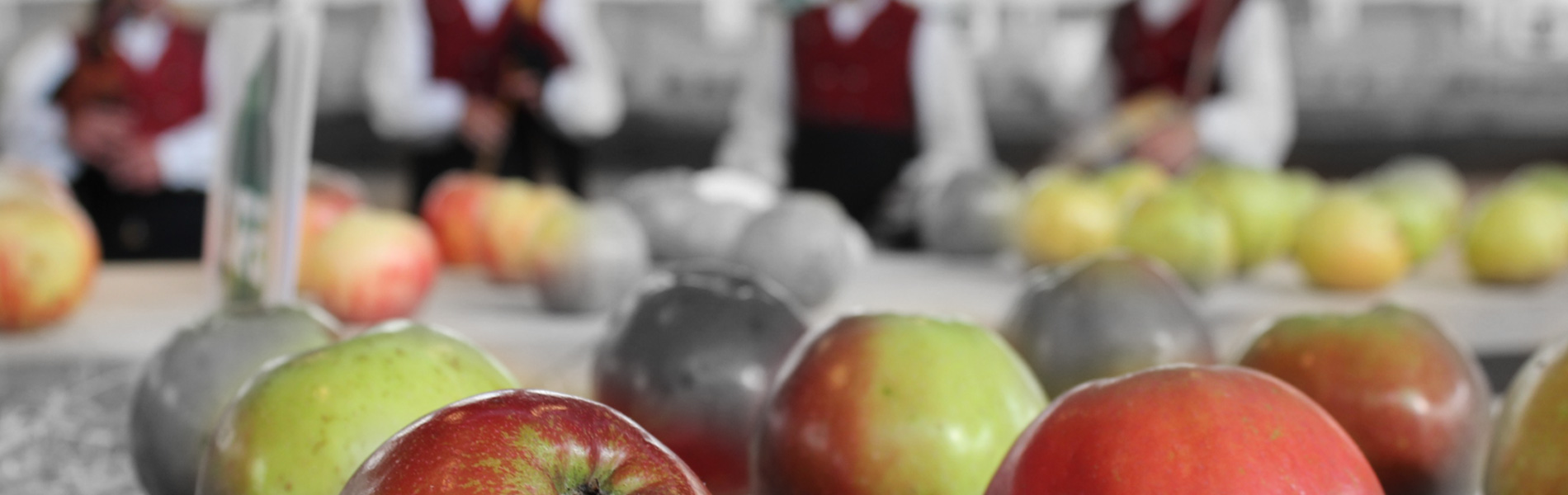 Villaviciosa, capital manzanera de Espa�a